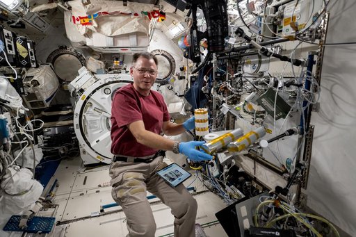 Astronaut Nick Hague works on space biology research
