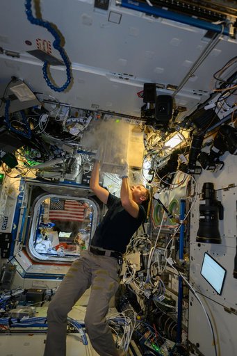 NASA astronaut Nick Hague processes samples for a biotechnology experiment