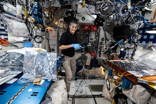 Astronaut Suni Williams photographs the European Materials Ageing experiment hardware