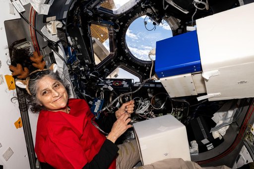 Astronaut Suni Williams assembles research hardware
