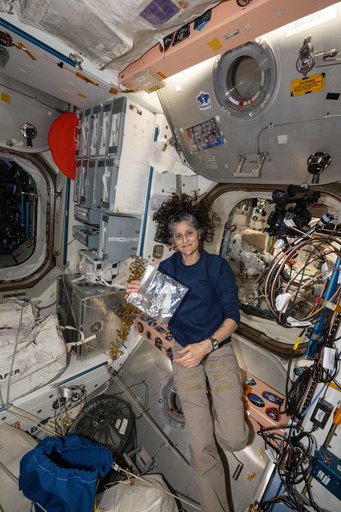 Astronaut Suni Williams is pictured during maintenance activities