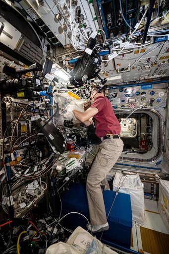 Astronaut Nick Hague replaces components inside the BioFabrication Facility
