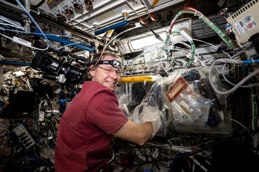 Astronaut Nick Hague replaces components inside the BioFabrication Facility