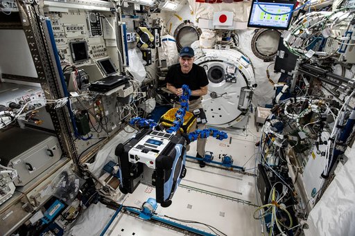 Astronaut Don Pettit watches an Astrobee robotic free-flyer grapple a "capture cube"