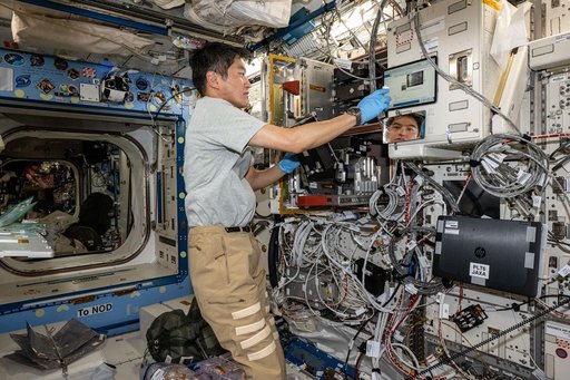 Astronaut Takuya Onishi processes research samples for the Cell Gravisensing investigation