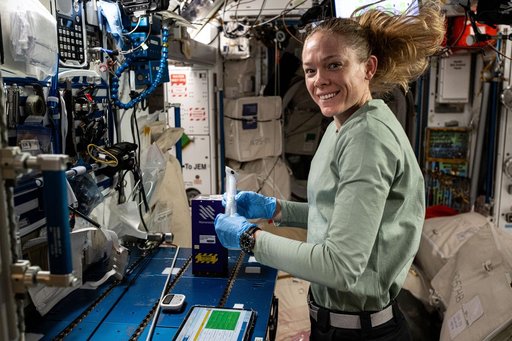 Astronaut Nichole Ayers prepares mixture tubes containng research samples