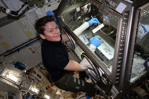 NASA astronaut Anne McClain processes bacteria samples for viewing inside a 3D imaging microscope