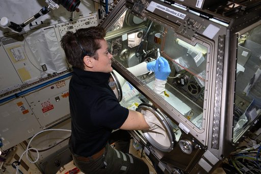 NASA astronaut Anne McClain processes bacteria samples