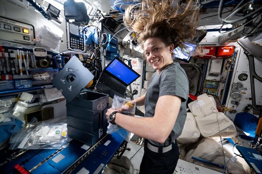 NASA astronaut Nichole Ayers swaps physical science and crystalization research hardware