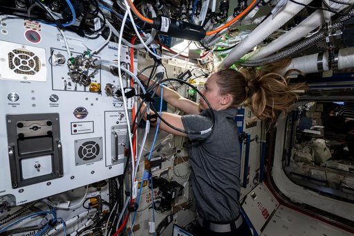 NASA astronaut Nichole Ayers verifies the functionality and replaces hardware on the Exploration Potable Water Dispenser