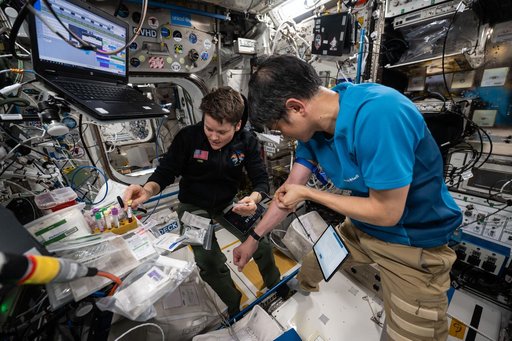 Astronauts Anne McClain and Takuya Onishi work together and draw blood samples