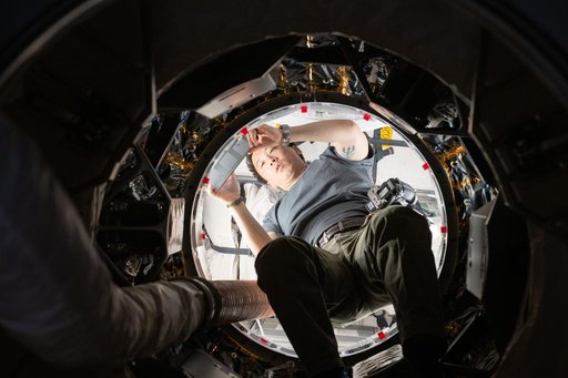 Astronaut Jonny Kim works inside the SpaceX Dragon cargo spacecraft completing cargo operations