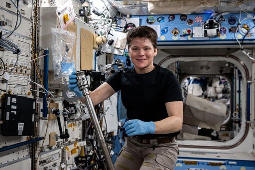 Astronaut Anne McClain assembles research hardware inside Kibo laboratory module
