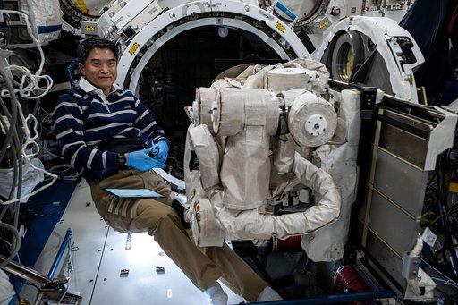 JAXA astronaut works on the Japanese robotic arm's Small Fine Arm