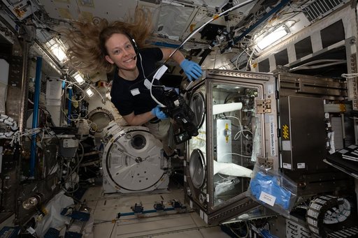 NASA astronaut Nichole Ayers tests imaging operations of a 3D research microscope