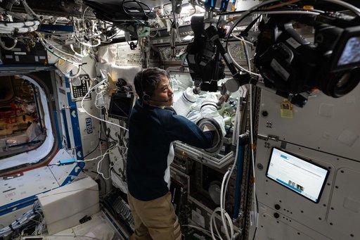 iss073e0177064