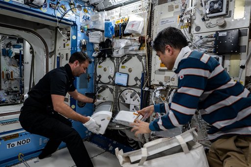Astronauts Tibor Kapu from Hungary and Takuya Onishi from Japan