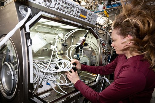 NASA astronaut Nichole Ayers removes physics research hardware inside the Microgravity Science Glovebox