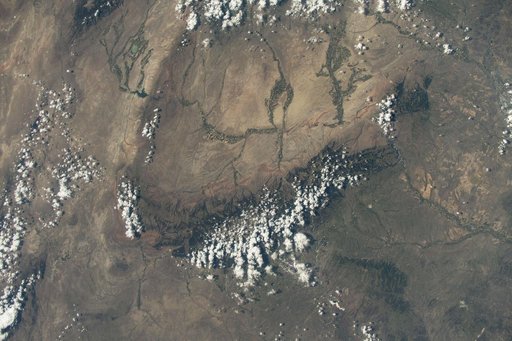United States' Bighorn National Forest and Custer National Forest