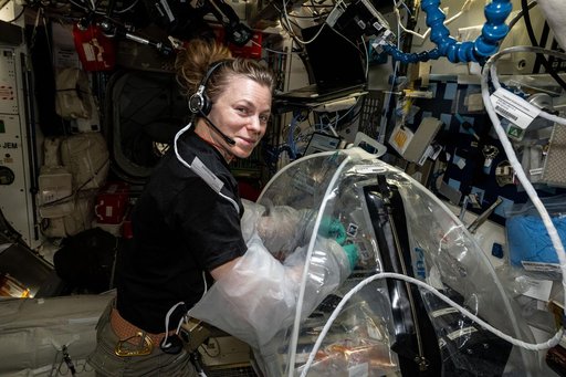 NASA astronaut Zena Cardman installs liver tissue samples into an artificial gravity generator