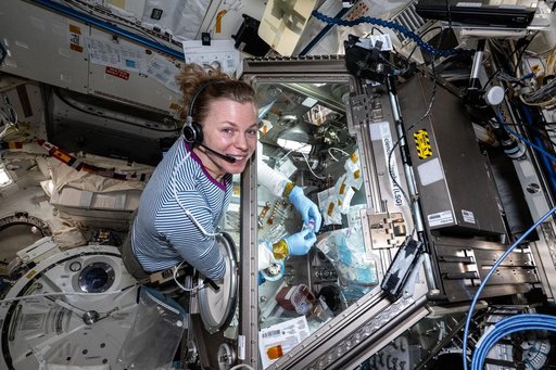 NASA astronaut Zena Cardman processes bone cell samples inside the Life Science Glovebox