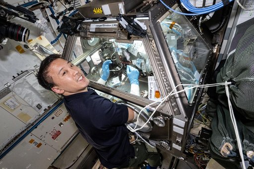 NASA astronaut Jonny Kim processes bone cell samples inside the Life Science Glovebox