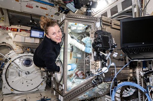 NASA astronaut Zena Cardman processes bone stem cell samples