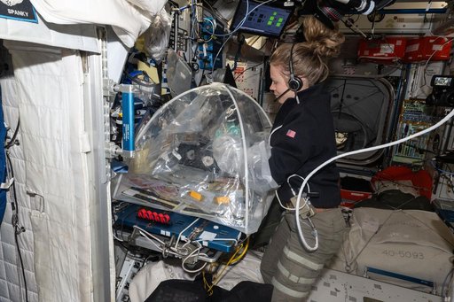 NASA astronaut Zena Cardman treats bioprinted liver tissues inside a portable glovebag