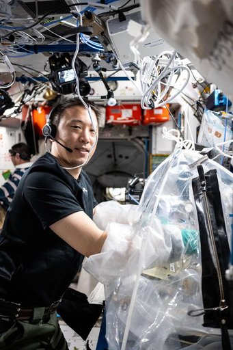 NASA astronaut Jonny Kim treats bioprinted liver tissues in a portable glovebag