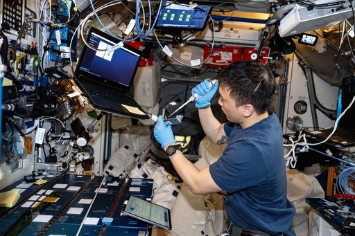 iss073e0768479