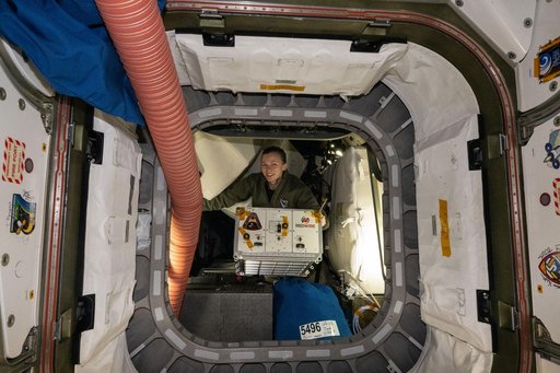 NASA astronaut Zena Cardman transfers the Advanced Space Experiment Processor-2