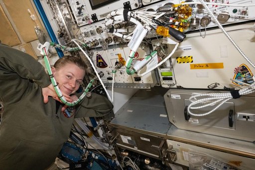 NASA astronaut Zena Cardman displays the Advanced Space Experiment Processor-2