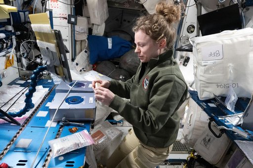 NASA astronaut Zena Cardman conducting research operations for a biotechnology experiment