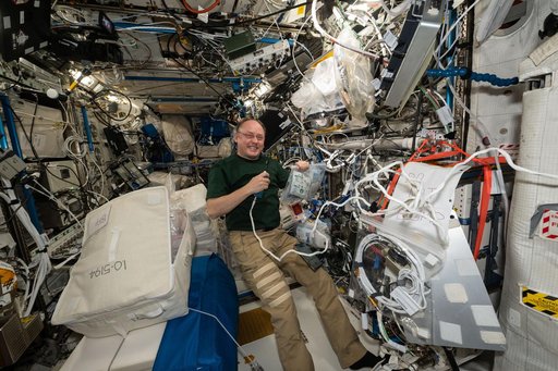 NASA astronaut Mike Fincke works on the BioFabrication Facility