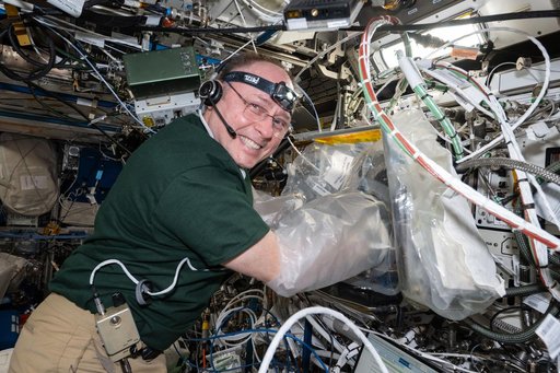 NASA astronaut Mike Fincke works on the BioFabrication Facility