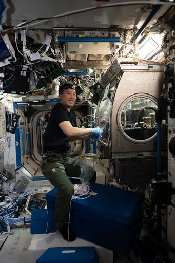 NASA astronaut Jonny Kim works inside the Microgravity Science Glovebox