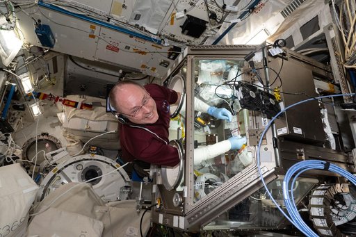 NASA astronaut Mike Fincke conducts research operations inside the Life Science Glovebox