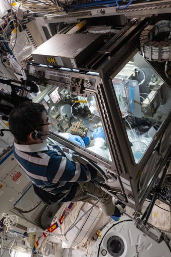 JAXA astronaut Kimiya Yui conducts a microbiology research experiment