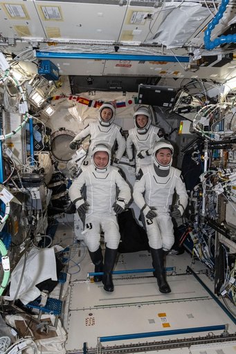 Four SpaceX Crew-11 members gather for a crew portrait
