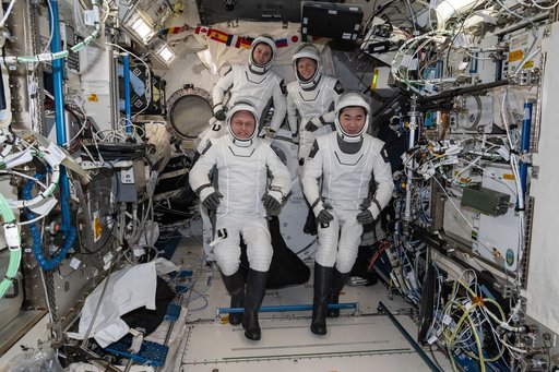 Four SpaceX Crew-11 members gather for a crew portrait