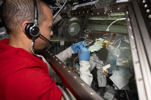 NASA astronaut Chris Williams processes microbe samples inside the Microgravity Science Glovebox