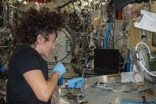 NASA astronaut Jessica Meir configures hardware for the StarSteel experiment