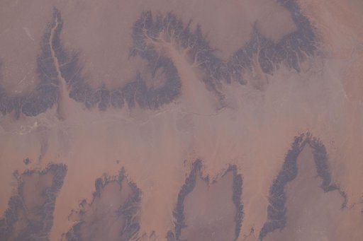 A portion of the Sahara in the Agadez Region of northeastern Niger