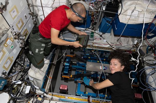 Astronauts Chris Williams and Jessica Meir work on the European Enhanced Exploration Exercise Device