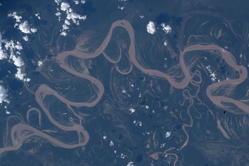The Ucayali River in the lowland Amazon rainforest of central Peru