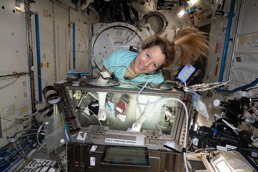 Astronaut Sophie Adenot processing blood stem cell samples inside the Kibo laboratory module