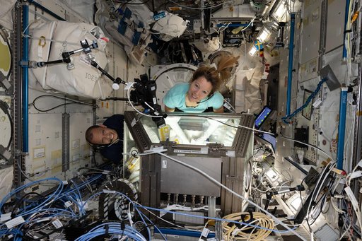 Astronauts Chris Williams and Sophie Adenot process genetic-material samples in the Kibo laboratory module