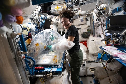 NASA astronaut Jessica Meir processes samples of heart stem cells and bacteria