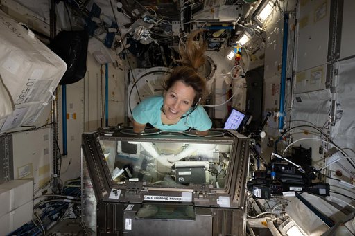 ESA astronaut Sophie Adenot works inside the Kibo laboratory module's Life Science Glovebox