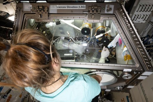 ESA astronaut Sophie Adenot works inside the Kibo laboratory module's Life Science Glovebox